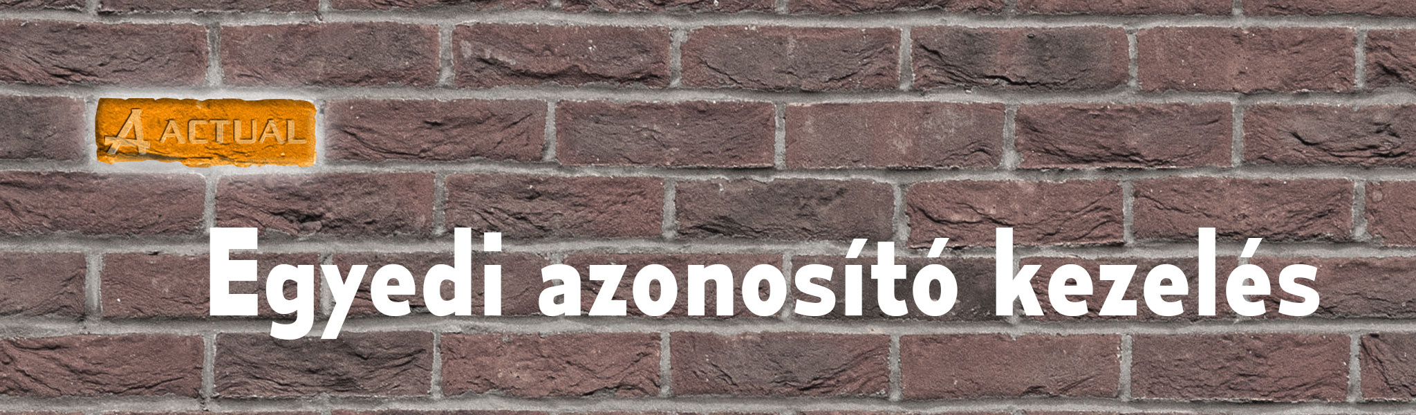 Egyedi azonosító kezelés