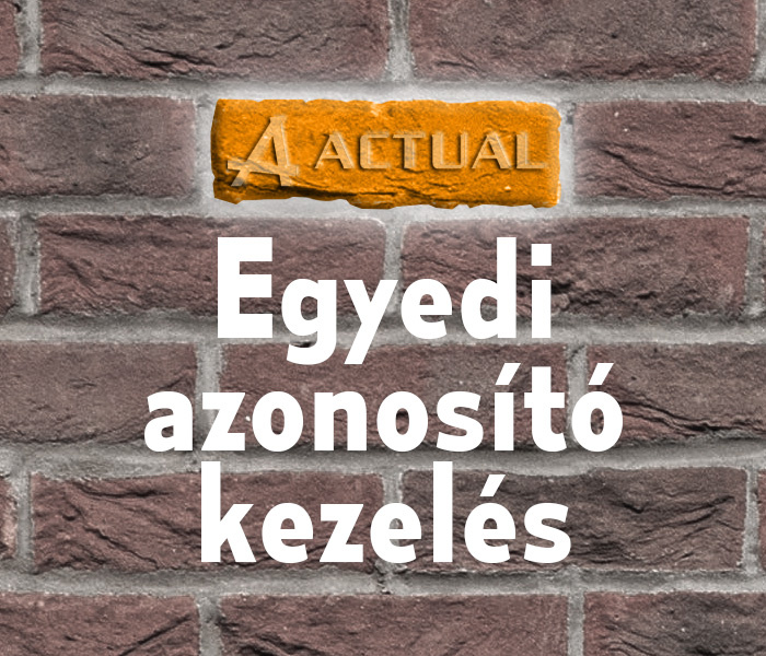 Egyedi azonosító kezelés