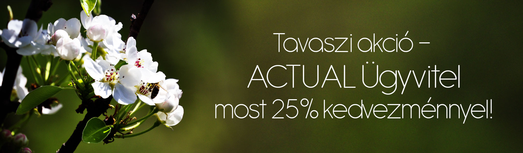 Tavaszi akció - ACTUAL Ügyvitel most 25% kedvezménnyel!